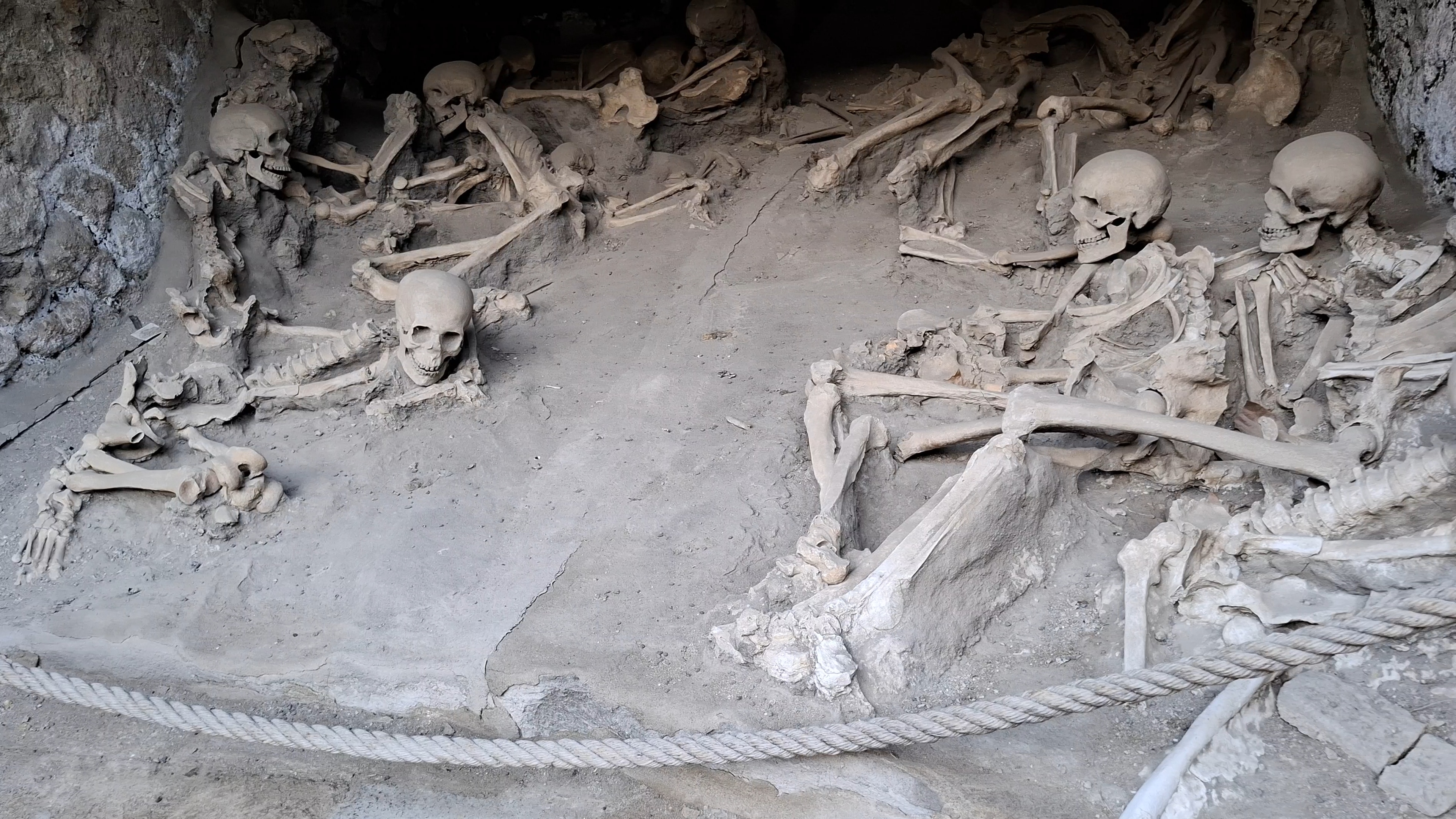 Imagen Fornici - esqueletos