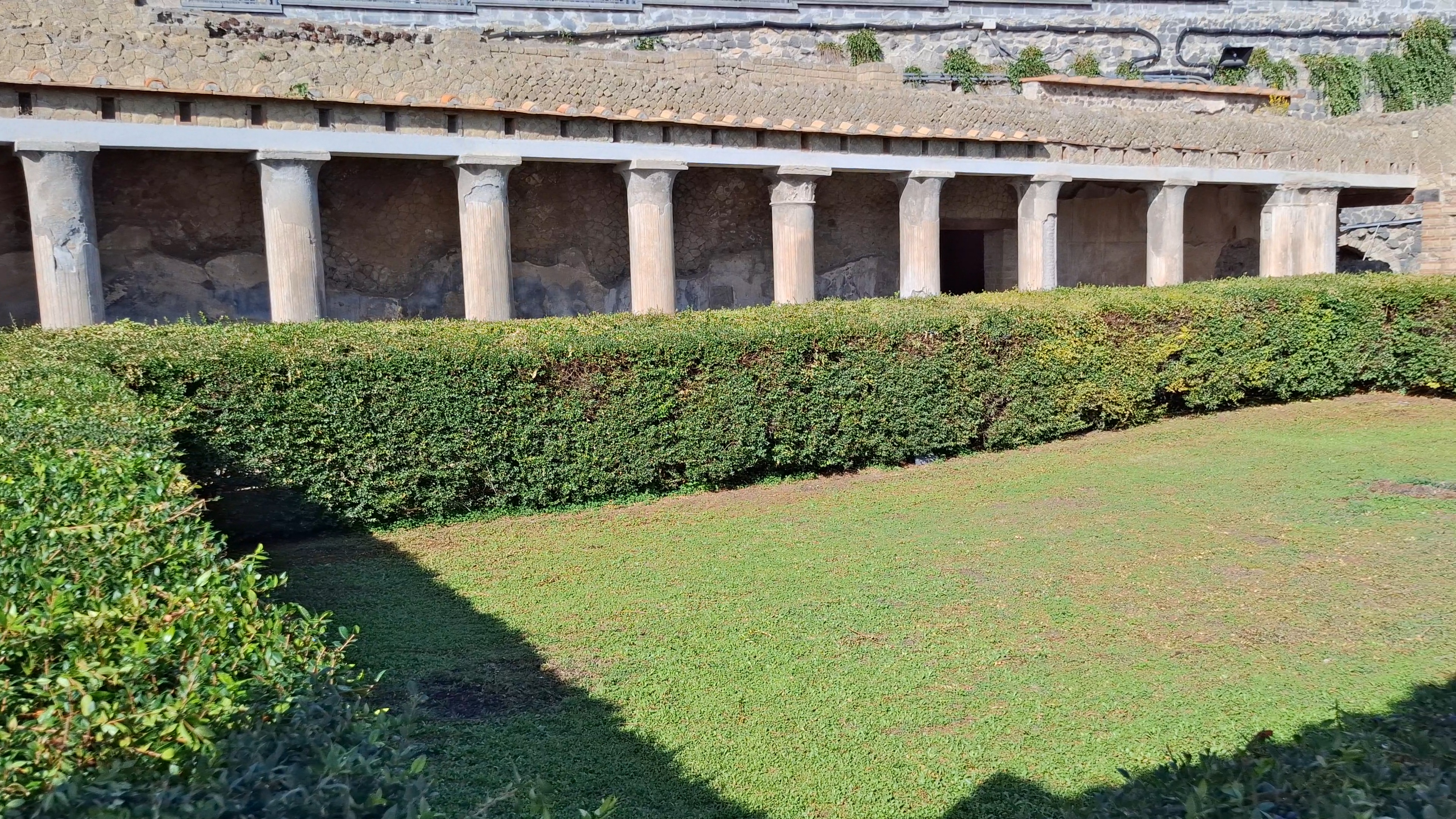 Imagen Palestra o Gimnasio