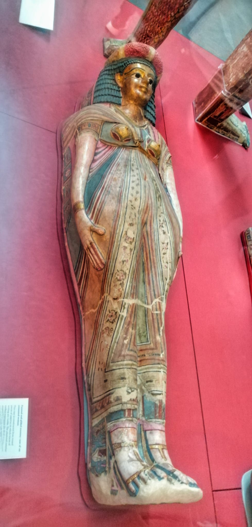 Egyptian Mummy